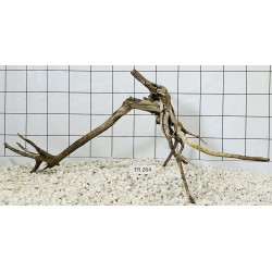 Spiderwood 264
