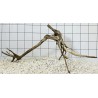 Spiderwood 264