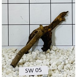 Stump wood 05
