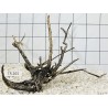 Spiderwood 265