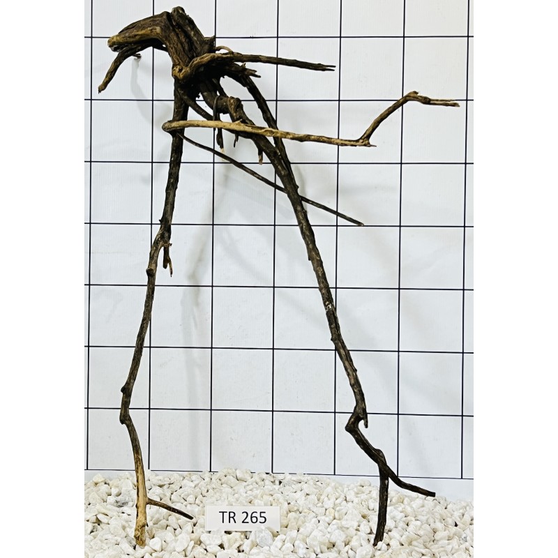 Spiderwood 265