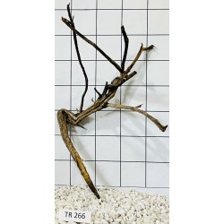 Spiderwood 266