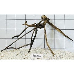 Spiderwood 266