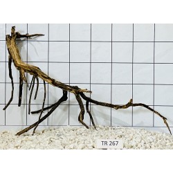 Spiderwood 267