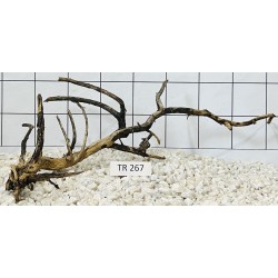 Spiderwood 267