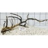 Spiderwood 267