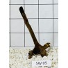 Stump wood 05