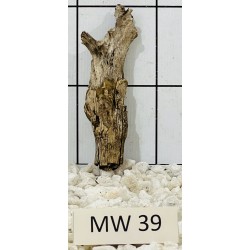 Mangrovewood 39