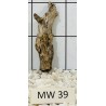 Mangrovewood 39