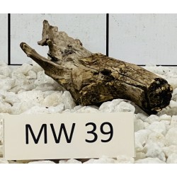 Mangrovewood 39