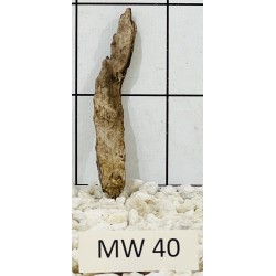 Mangrovewood 40