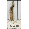 Mangrovewood 40