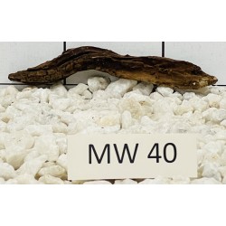 Mangrovewood 40