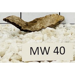 Mangrovewood 40