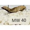 Mangrovewood 40