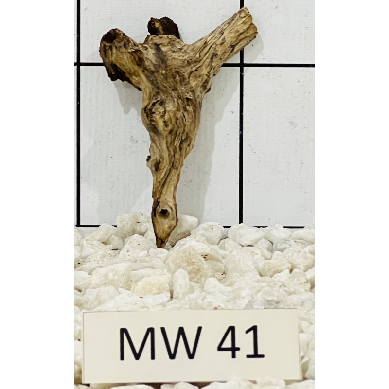 Mangrovewood 41