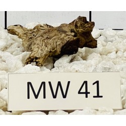 Mangrovewood 41