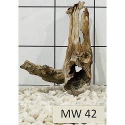 Mangrovewood 42