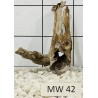 Mangrovewood 42