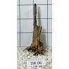 Stump wood 06