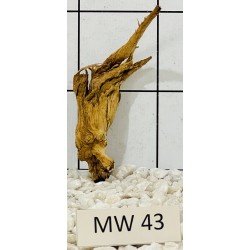 Mangrovewood 43