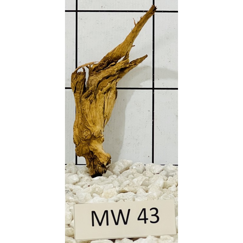 Mangrovewood 43