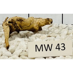 Mangrovewood 43