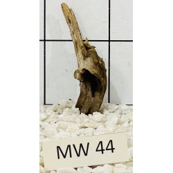 Mangrovewood 44
