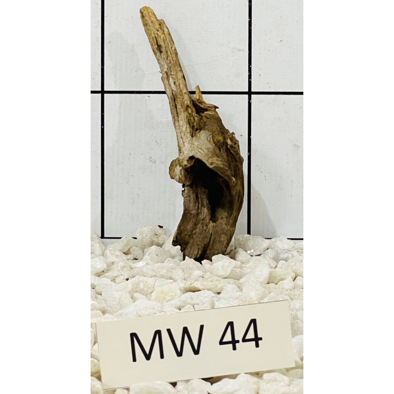Mangrovewood 44