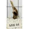 Mangrovewood 44