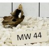 Mangrovewood 44