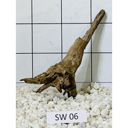 Stump wood 06