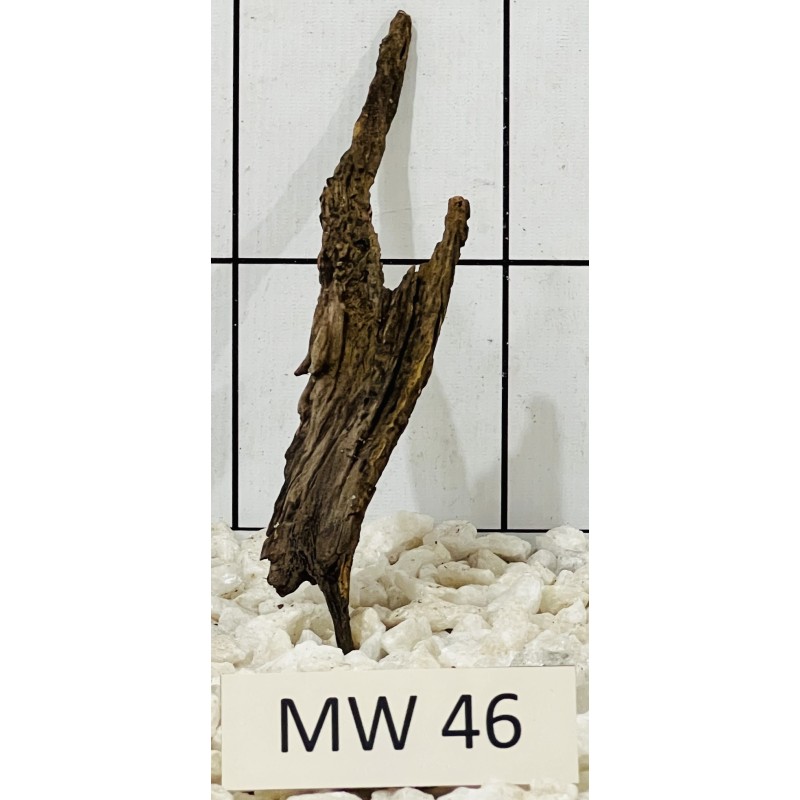 Mangrovewood 46