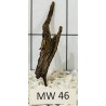 Mangrovewood 46