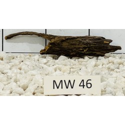 Mangrovewood 46