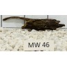 Mangrovewood 46