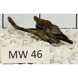 Mangrovewood 46