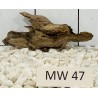 Mangrovewood 47
