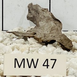 Mangrovewood 47
