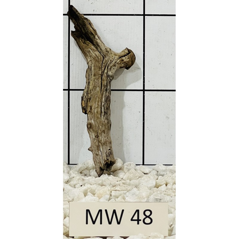 Mangrovewood 48