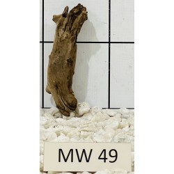 Mangrovewood 49