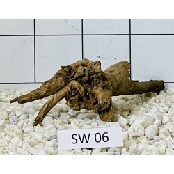 Stump wood 06