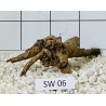 Stump wood 06
