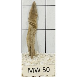 Mangrovewood 50