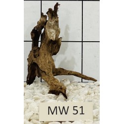 Mangrovewood 51