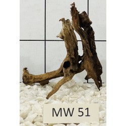Mangrovewood 51