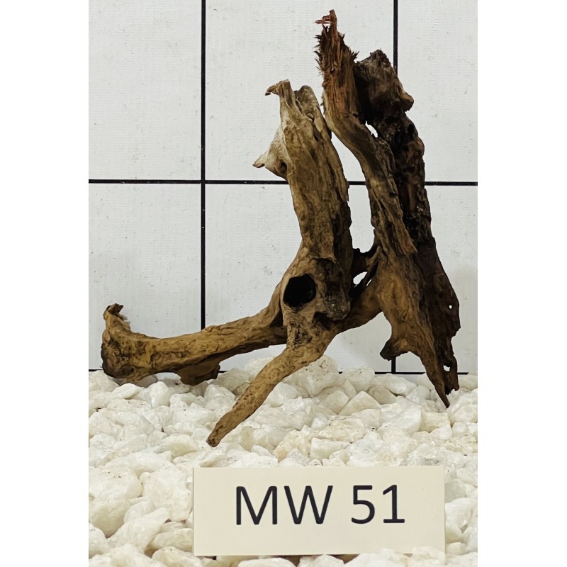 Mangrovewood 51