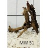 Mangrovewood 51