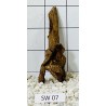Stump wood 07