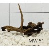 Mangrovewood 51
